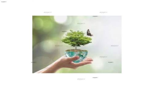  evaluation of surface water quality by nsfwqi index and pollution risk assessment, using wrastic index in 2015